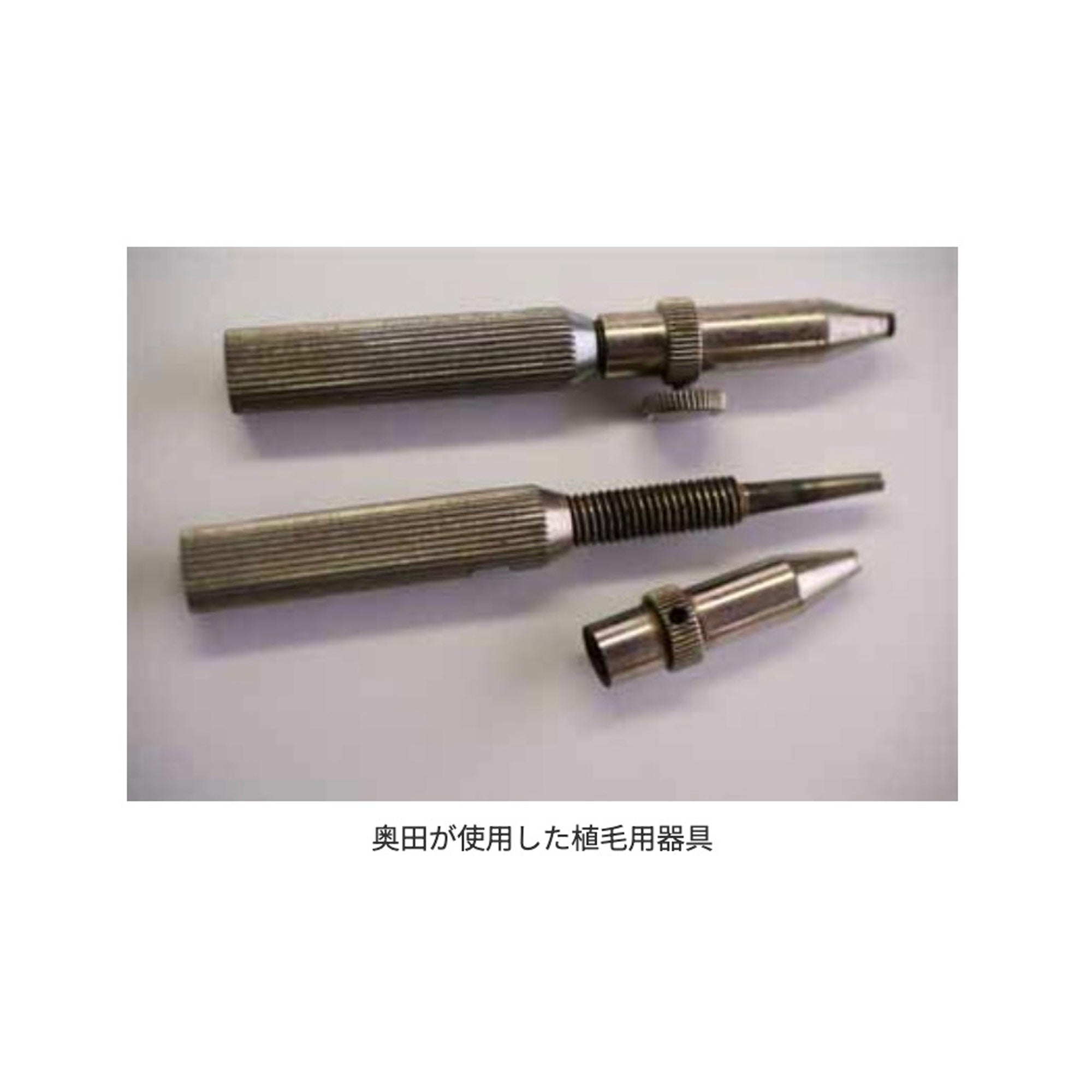 Torukosyokumou
