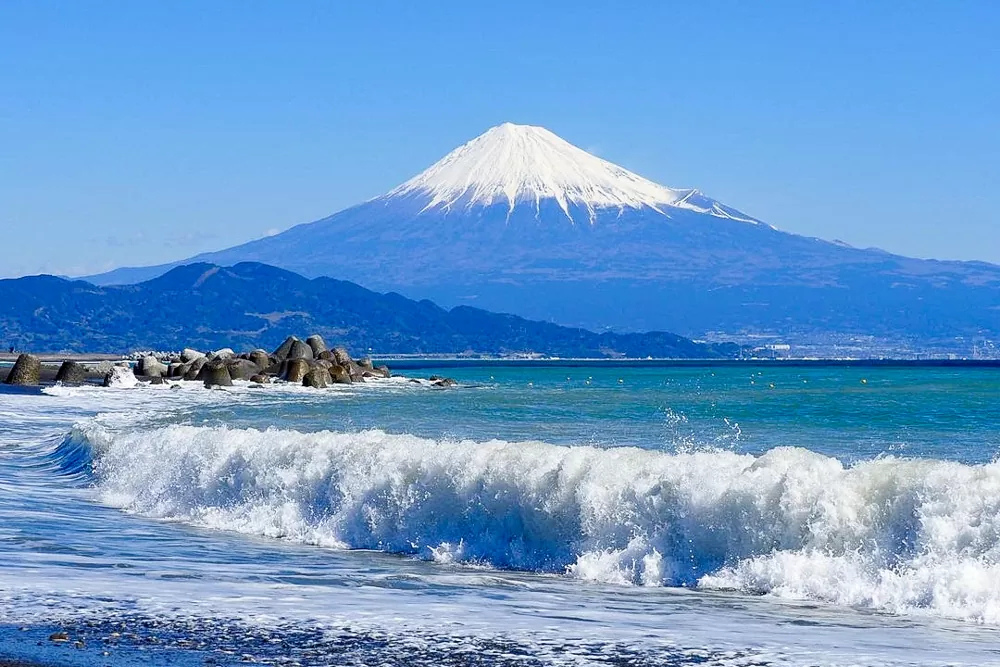 Torukosyokumou